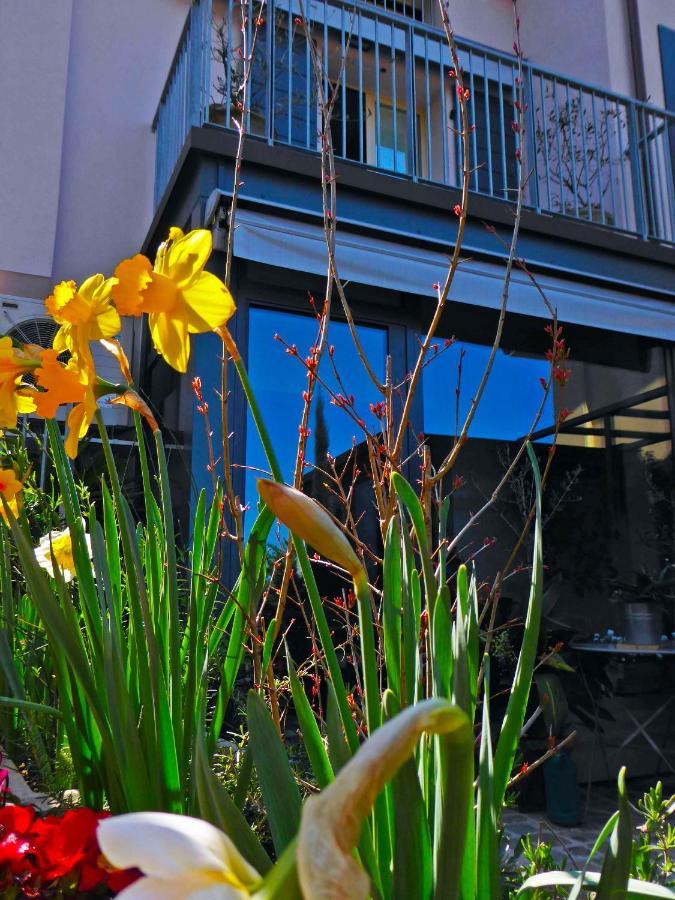 Fiorenzuola Bed & Breakfast Fiorenzuola di Focara Bagian luar foto